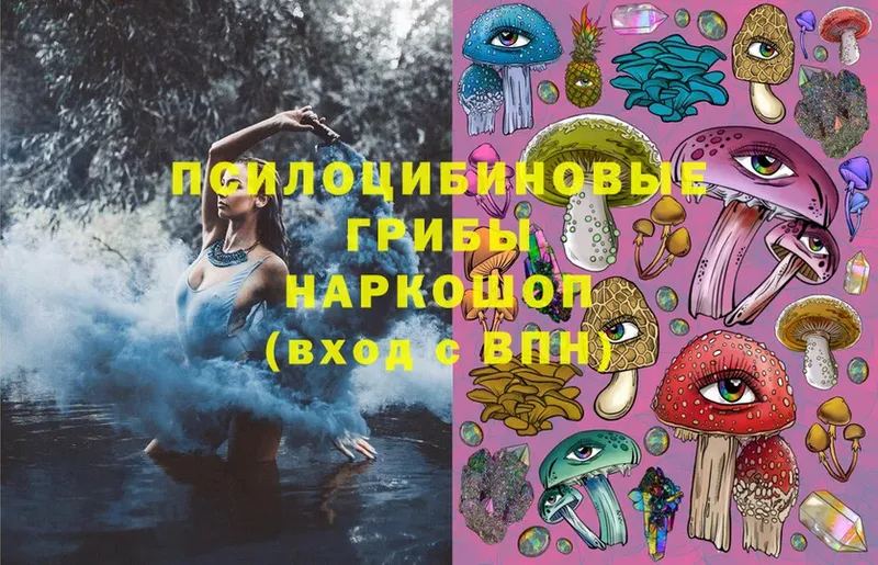 Галлюциногенные грибы Magic Shrooms  Вилюйск 